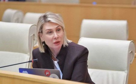 ნინო წილოსანი: შეკრების რაოდენობიდან გამომდინარე, თუ აუცილებელია გზის გადაკეტვა, ეს ლოგიკურად მიიჩნევა და ყველა სხვა ქვეყანაშიც როდესაც ხელოვნურად ხდება გზის და მაგისტრალების ბლოკირება, საკმაოდ მკაცრი კანონმდებლობა აქვთ