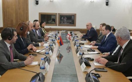 გიორგი გაბუნია კულტურის კომიტეტის წევრებთან ერთად, სომხეთის რესპუბლიკის ეროვნული ასამბლეის დელეგაციას შეხვდა