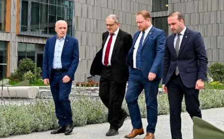 ქუთაისის საერთაშორისო უნივერსიტეტი ევროპის ბირთვული კვლევების ორგანიზაციასთან (CERN) თანამშრომლობას იწყებს