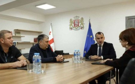 ბესიკ კუსიდი თბილისის წამყვანი კლინიკების წარმომადგენლებს შეხვდა