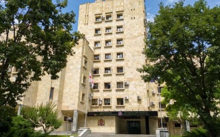 პროკურატურამ საქართველოს მუნიციპალური განვითარების ფონდის ყოფილ აღმასრულებელ დირექტორს სამსახურებრივი უფლებამოსილების ბოროტად გამოყენების ფაქტზე ბრალდება წარუდგინა