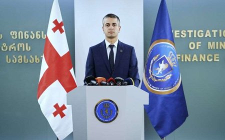 ფინანსთა სამინისტროს საგამოძიებო სამსახურმა სახელმწიფოს კუთვნილი დიდი ოდენობით თანხების თაღლითურად დაუფლების ფაქტზე, ორგანიზებული ჯგუფის კიდევ ერთი წევრი დააკავა, ხოლო შვიდი პირის მიმართ სისხლისსამართლებრივი დევნა დაიწყო