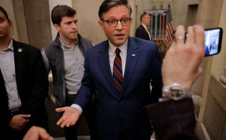 წარმომადგენელთა პალატის სპიკერმა განაცხადა, რომ ვერ ხედავს კონსტიტუციაში შესწორების შეტანის გზას, რათა ტრამპმა მესამე ვადით შეძლოს პრეზიდენტობა, და მიანიშნა, რომ პრეზიდენტი „დემოკრატებს“ ტროლავს“