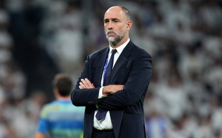 იუვენტუსმა ტუდორი გაათავისუფლა