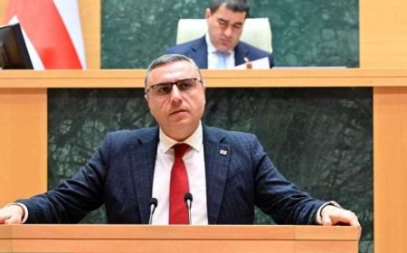 პარლამენტმა დავით კოდუასთვის პარლამენტის წევრის უფლებამოსილების ვადამდე შეწყვეტის საკითხს მხარი დაუჭირა