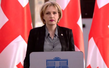 ეკა სეფაშვილი: საკონსტიტუციო სარჩელი არ ნიშნავს ბრძოლას პოლიტიკური პარტიების წინააღმდეგ, ეს არის ბრძოლა ქვეყნის ეროვნული ინტერესების დასაცავად