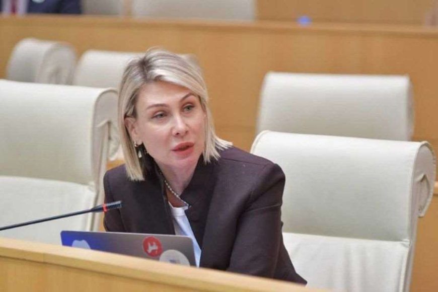 ნინო წილოსანი: შეკრების რაოდენობიდან გამომდინარე, თუ აუცილებელია გზის გადაკეტვა, ეს ლოგიკურად მიიჩნევა და ყველა სხვა ქვეყანაშიც როდესაც ხელოვნურად ხდება გზის და მაგისტრალების ბლოკირება, საკმაოდ მკაცრი კანონმდებლობა აქვთ