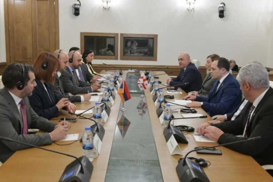 გიორგი გაბუნია კულტურის კომიტეტის წევრებთან ერთად, სომხეთის რესპუბლიკის ეროვნული ასამბლეის დელეგაციას შეხვდა