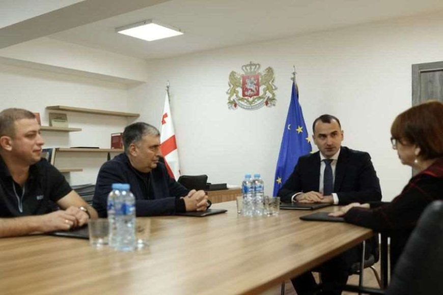 ბესიკ კუსიდი თბილისის წამყვანი კლინიკების წარმომადგენლებს შეხვდა