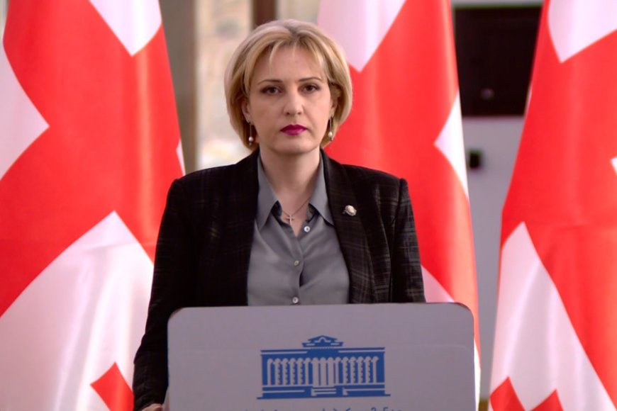 ეკა სეფაშვილი: საკონსტიტუციო სარჩელი არ ნიშნავს ბრძოლას პოლიტიკური პარტიების წინააღმდეგ, ეს არის ბრძოლა ქვეყნის ეროვნული ინტერესების დასაცავად